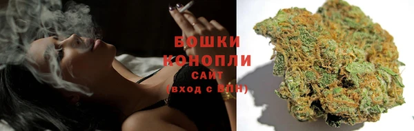 МДПВ Богородицк