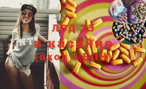 гидра Богданович