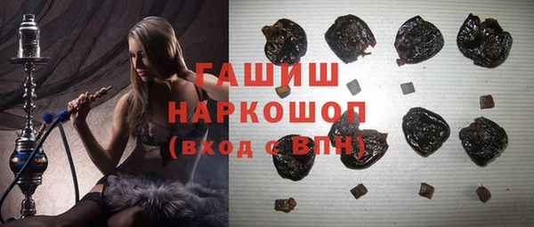 гидра Богданович