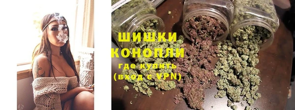 МДПВ Богородицк