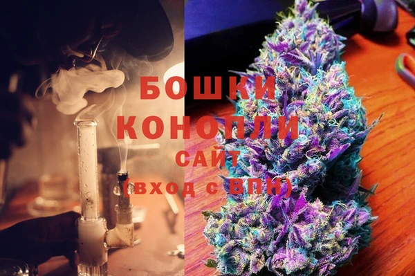 гидра Богданович