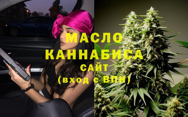 гидра Богданович