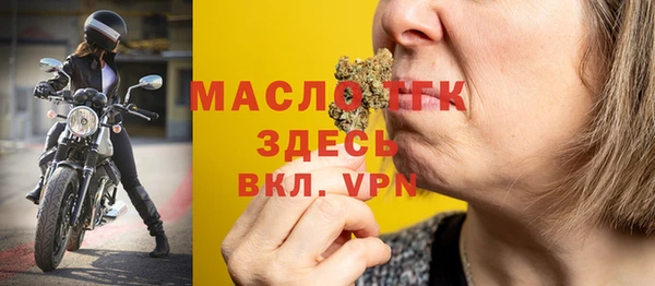 гидра Богданович