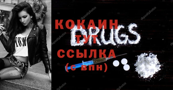 гидра Богданович
