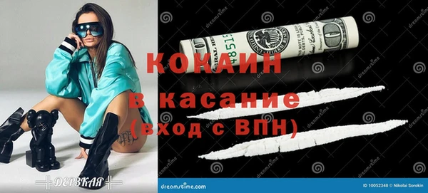 гидра Богданович