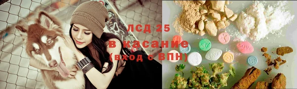 МДПВ Богородицк